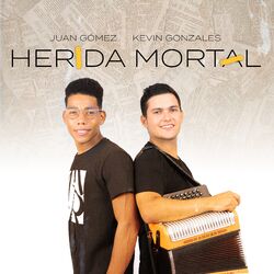 Cover of Herida Mortal