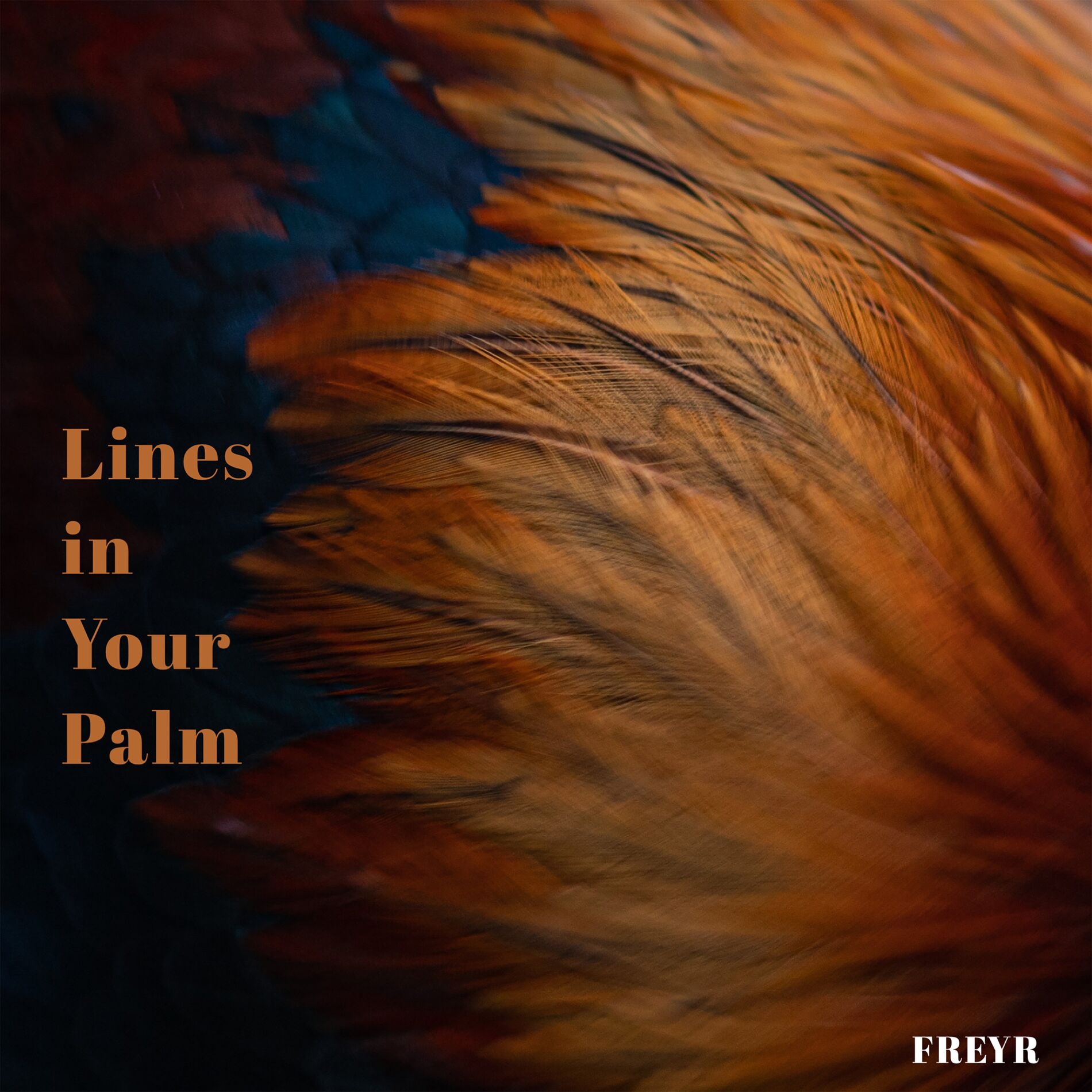 Album cover of Lines in Your Palm