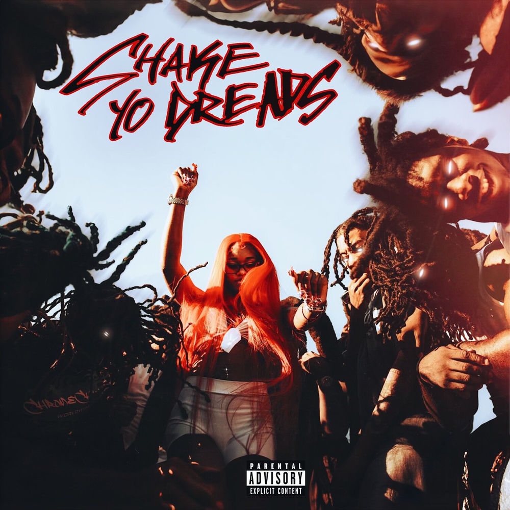 Shake Yo Dreads cover