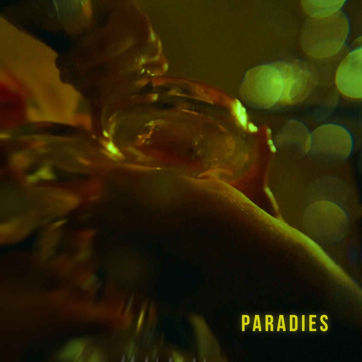 Album cover of Paradies