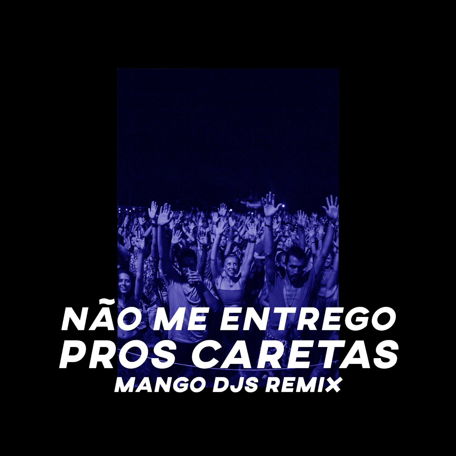 Album cover of Não Me Entrego Pros Caretas
