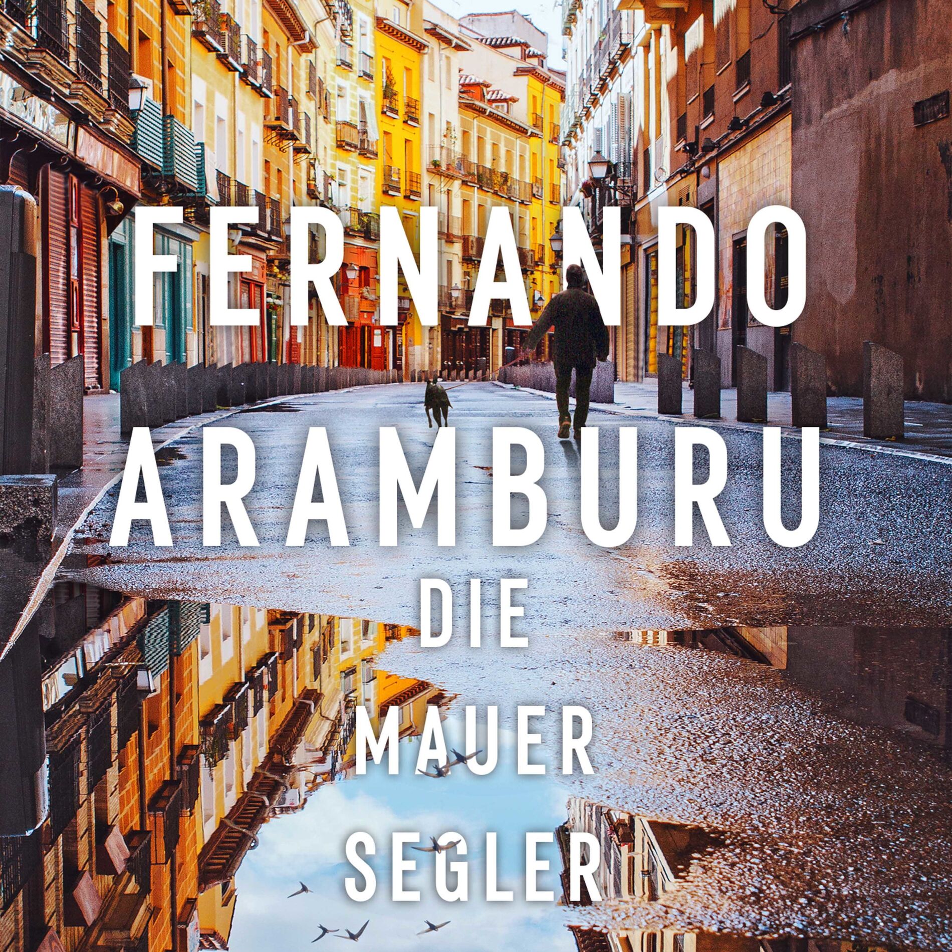 Album cover of Die Mauersegler