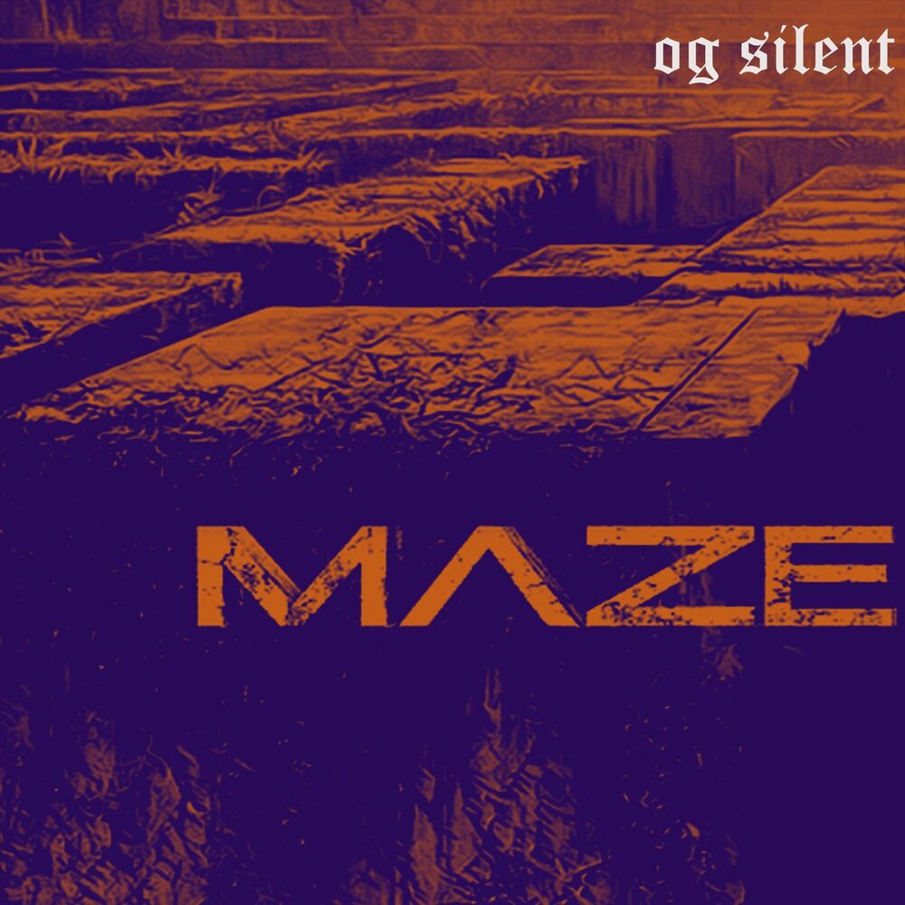 Picture of Maze