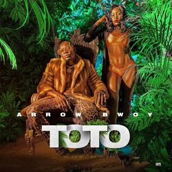 Cover of Toto