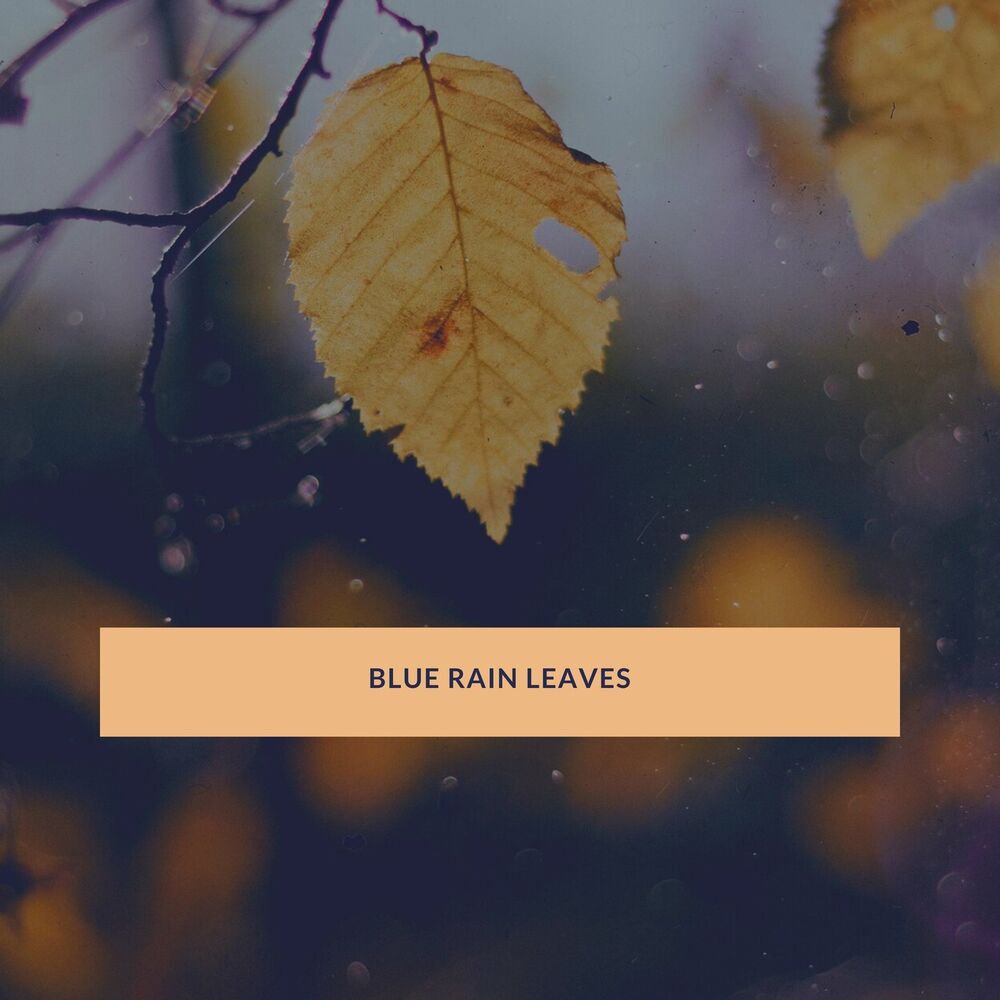 Picture of Blue Rain Leaves