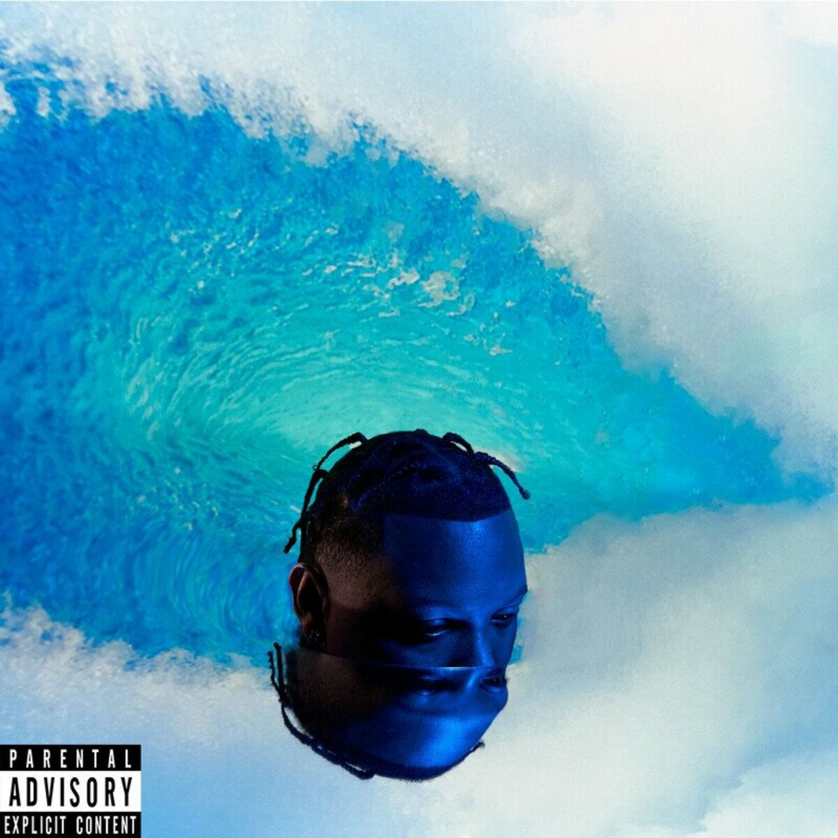 Album cover of SURF OR DROWN