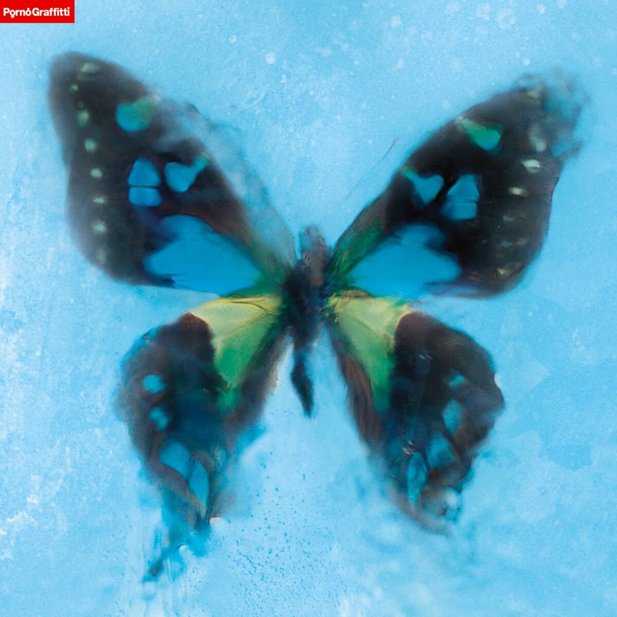 Album cover of Agehachou