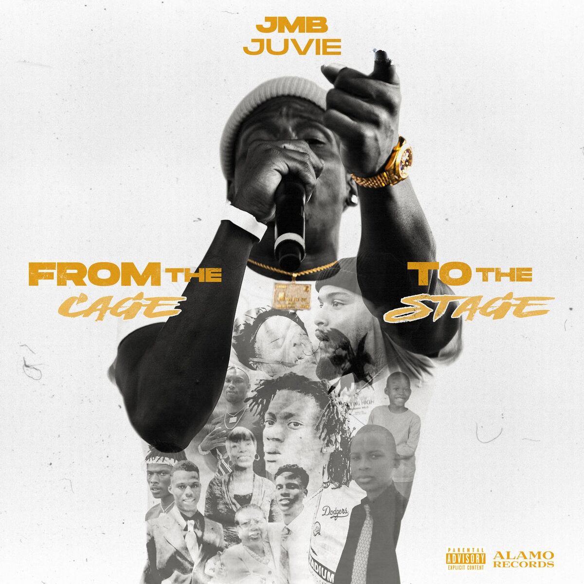 Album cover of From the Cage to the Stage