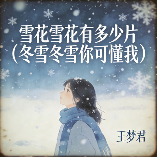 雪花雪花有多少片 (冬雪冬雪你可懂我)