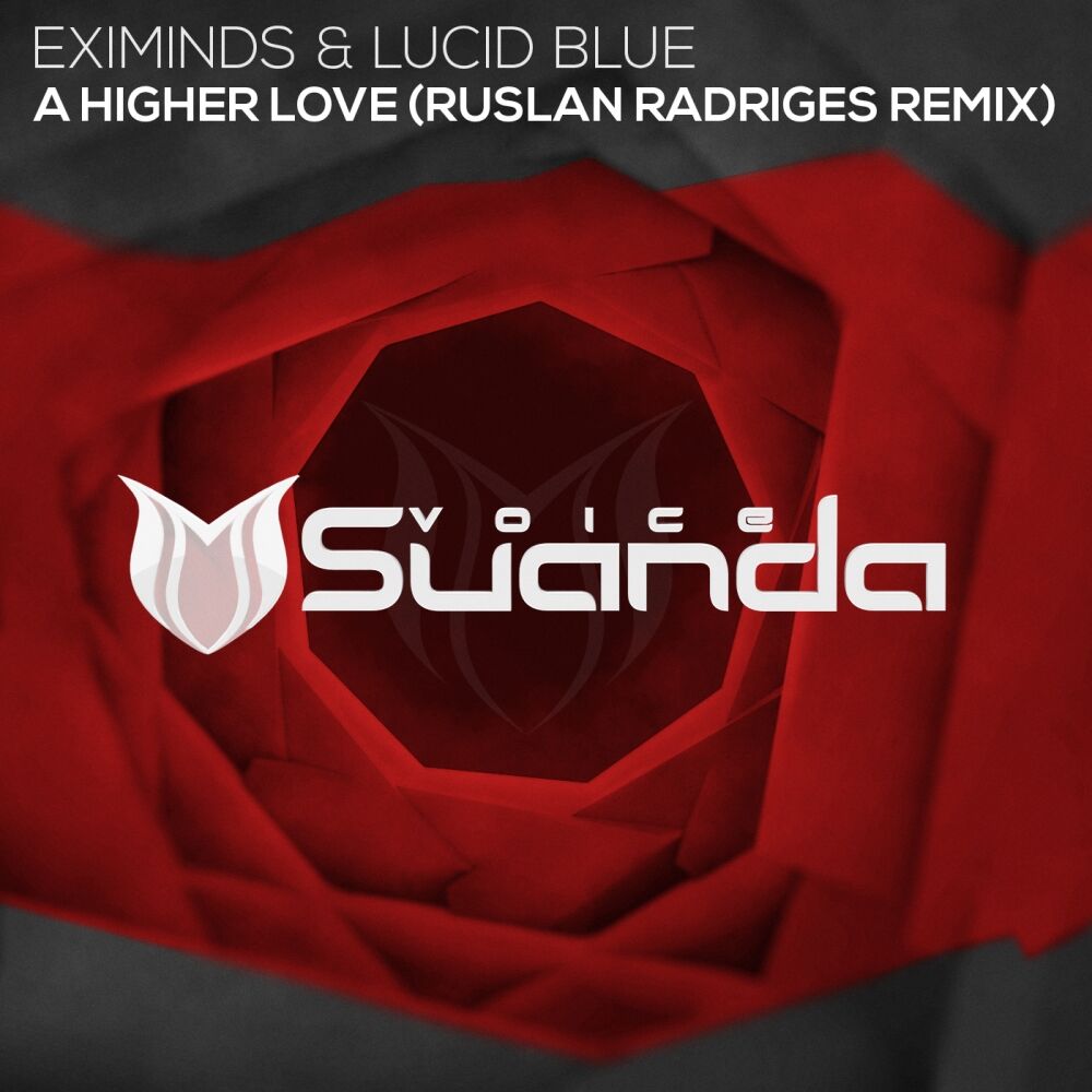 Picture of A Higher Love (Ruslan Radriges Remix)
