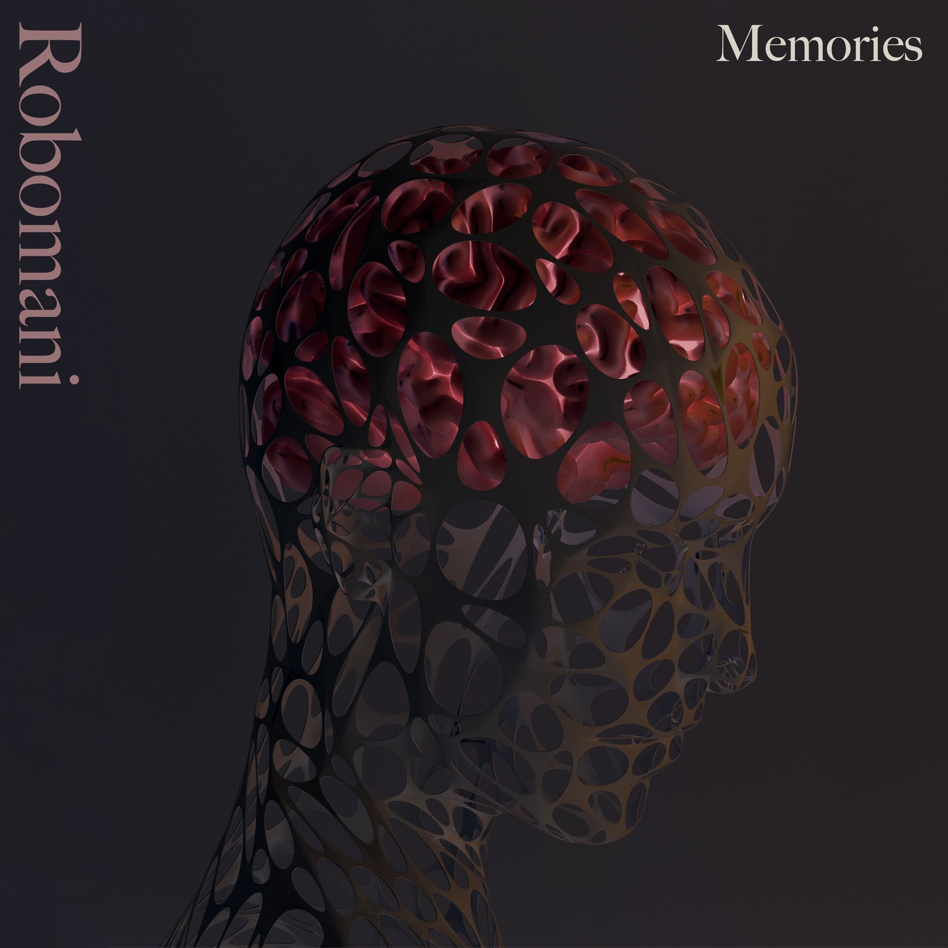 Album cover of Memories