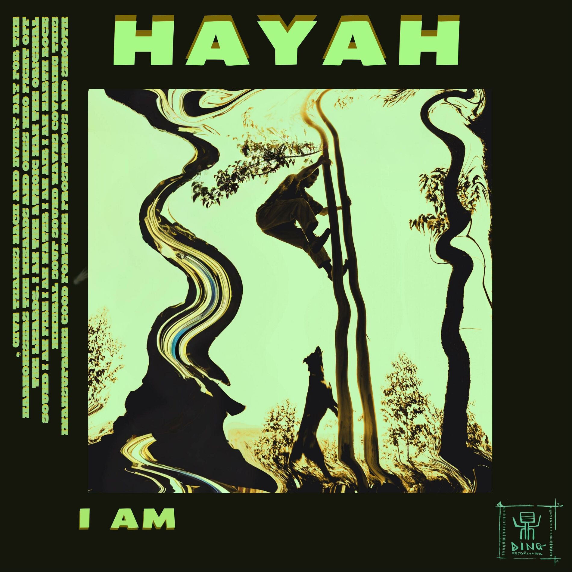 Album cover of I Am