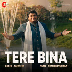 Cover of Tere Bina by undefined