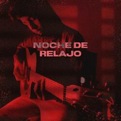 Cover of Noche de Relajo