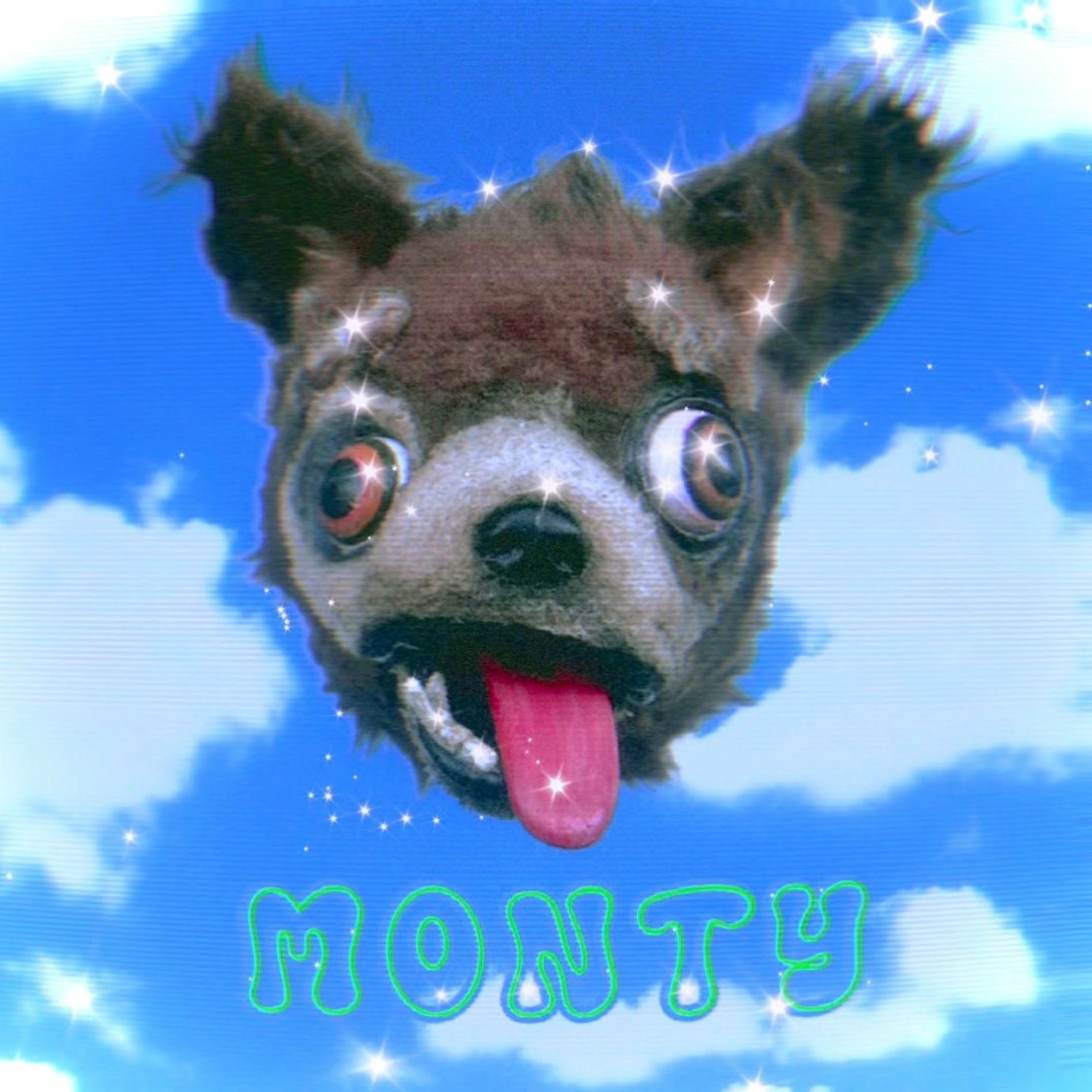 Album cover of monty (＾ᴥ＾)