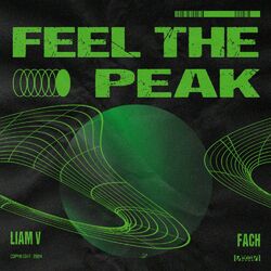 Cover of Feel The Peak