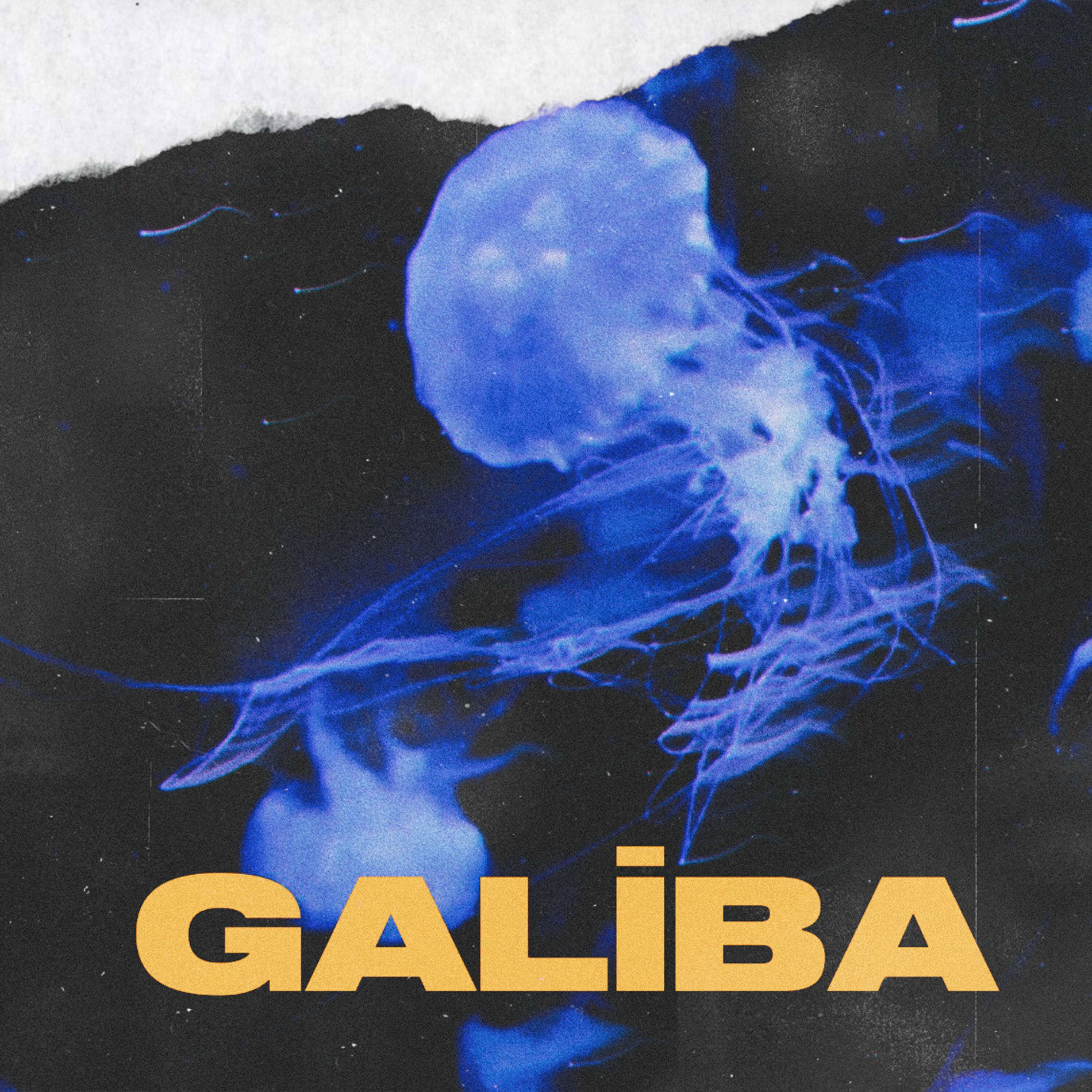 Album cover of Galiba
