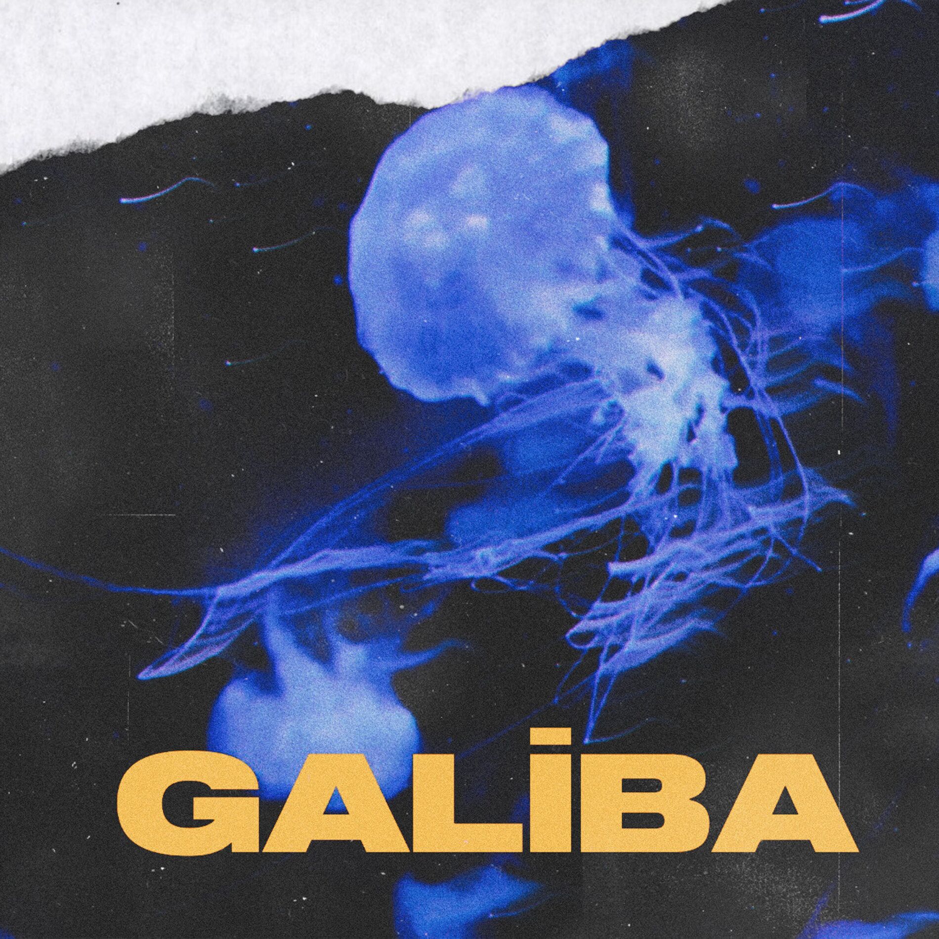 Album cover of Galiba