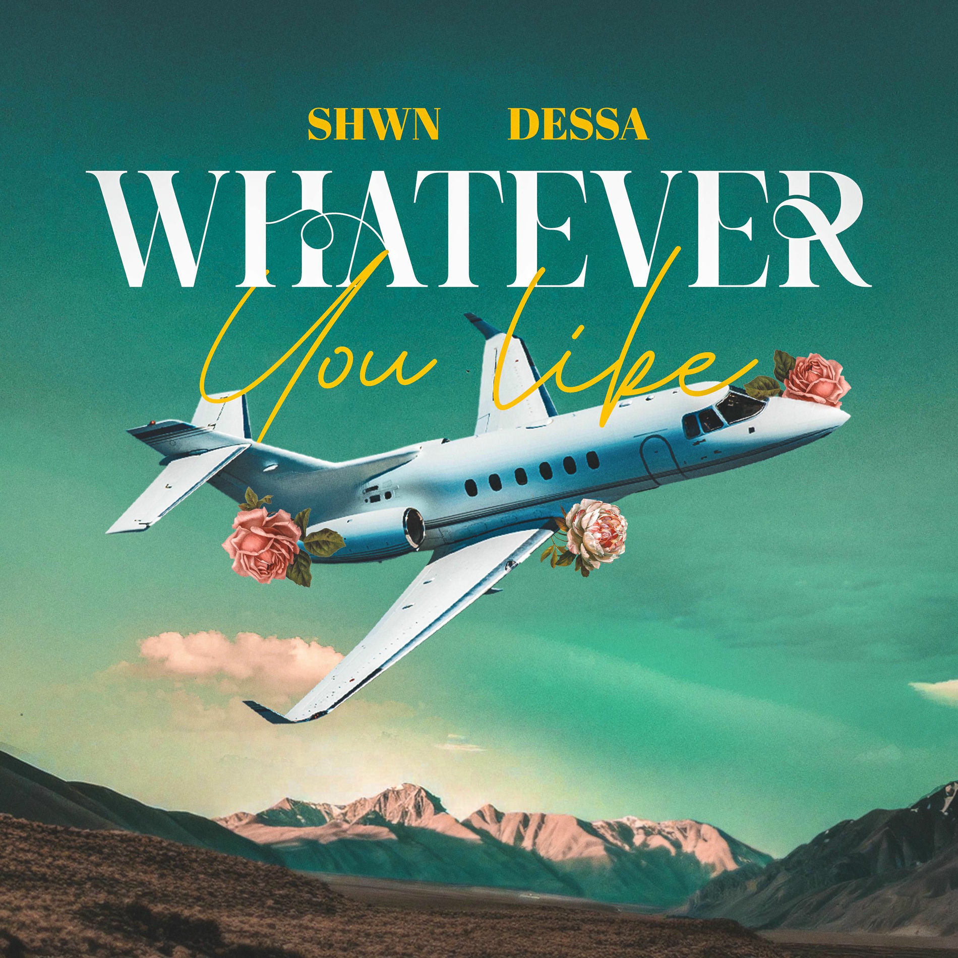 Album cover of WHATEVER YOU LIKE (feat. Dessa & VS)