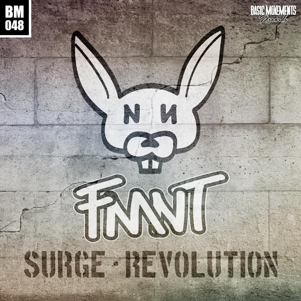 Picture of Fmnt E.P.