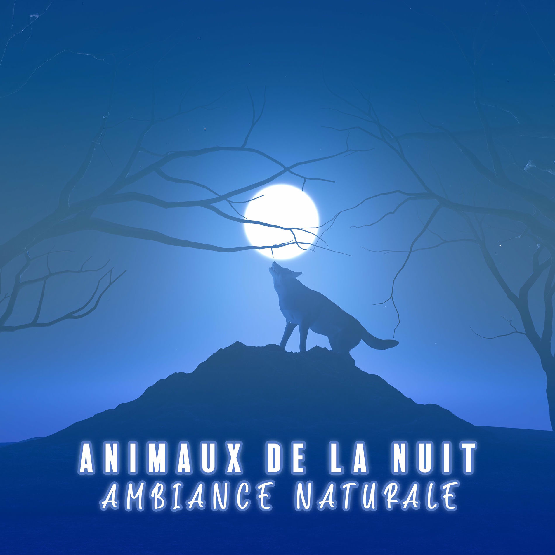 Album cover of Animaux de la nuit: Ambiance naturale pour l'insomnie