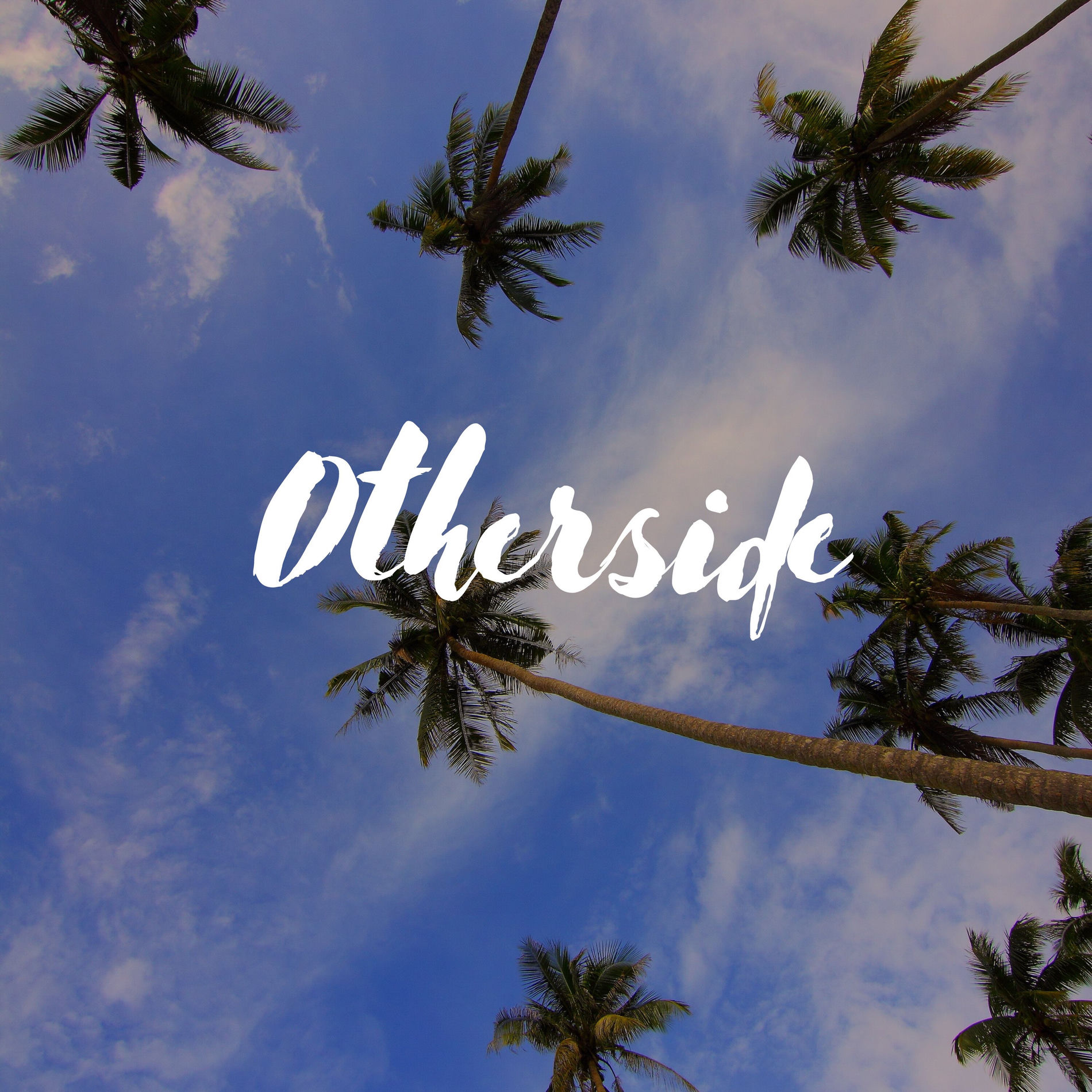 Album cover of Otherside