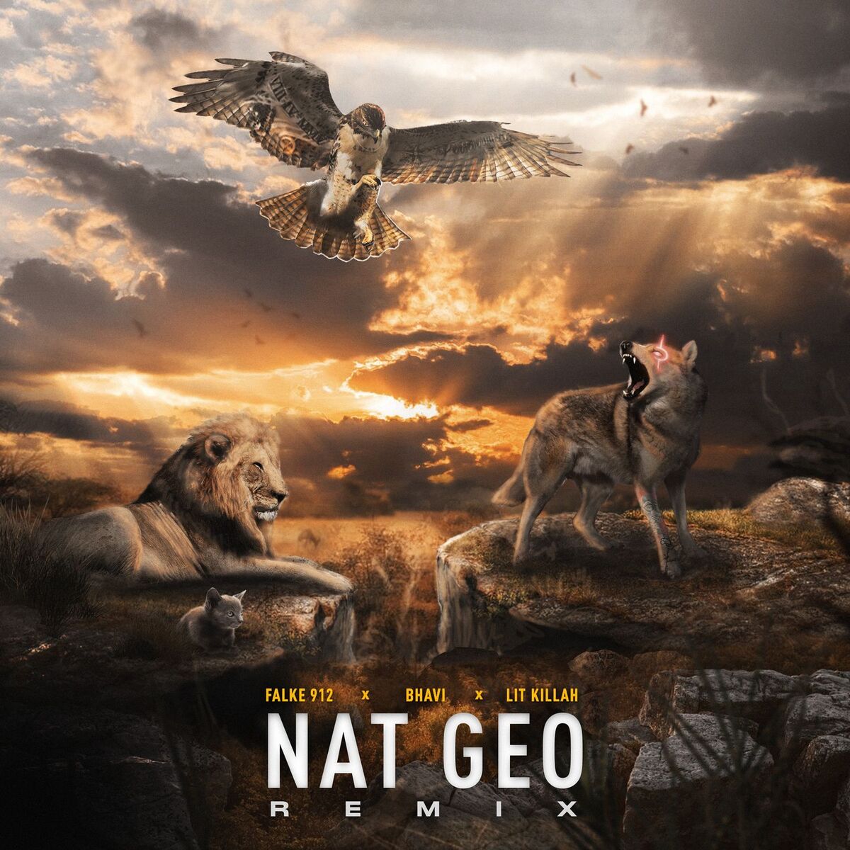 Album cover of Nat Geo (Remix)