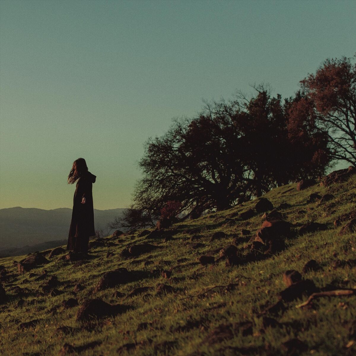 Album cover of Scarecrow