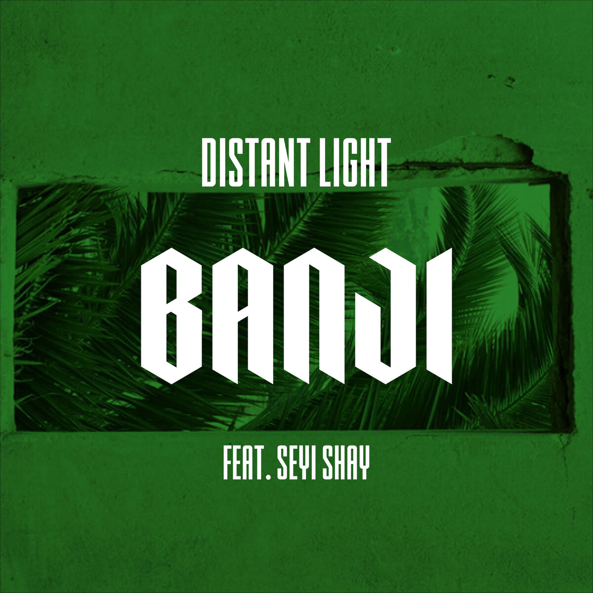 Album cover of Banji