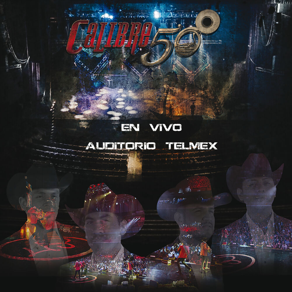 Picture of En Vivo Auditorio Telmex