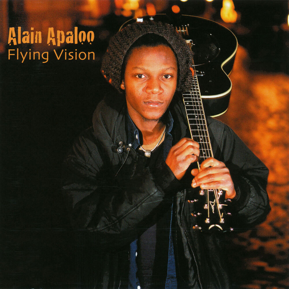 Picture of Flying Vision