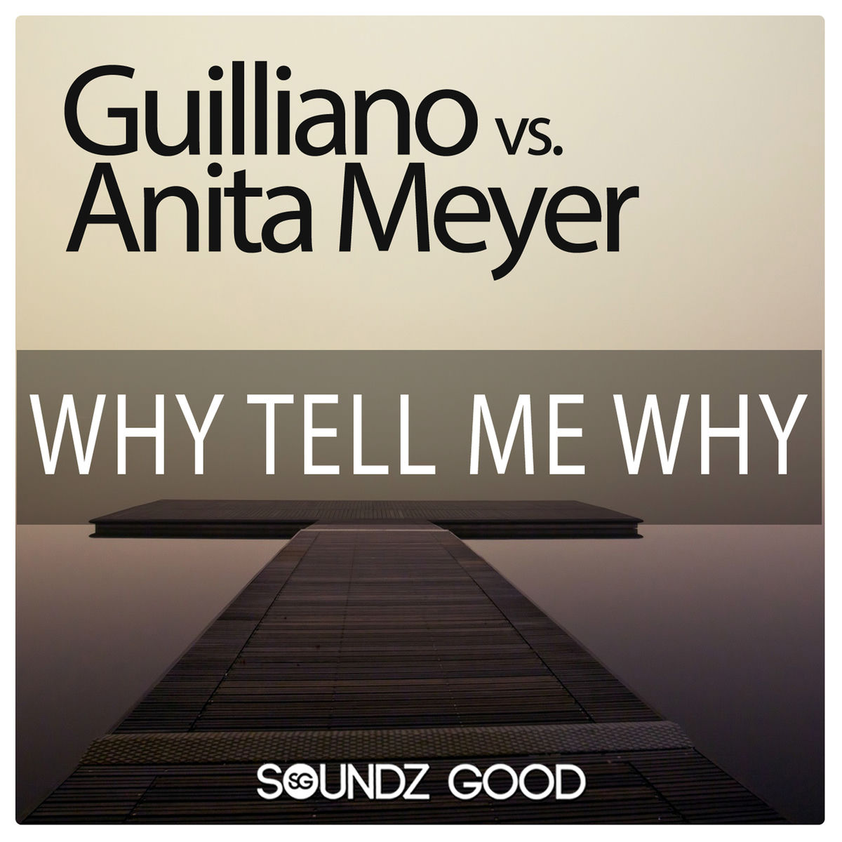 Album cover of Why Tell Me Why