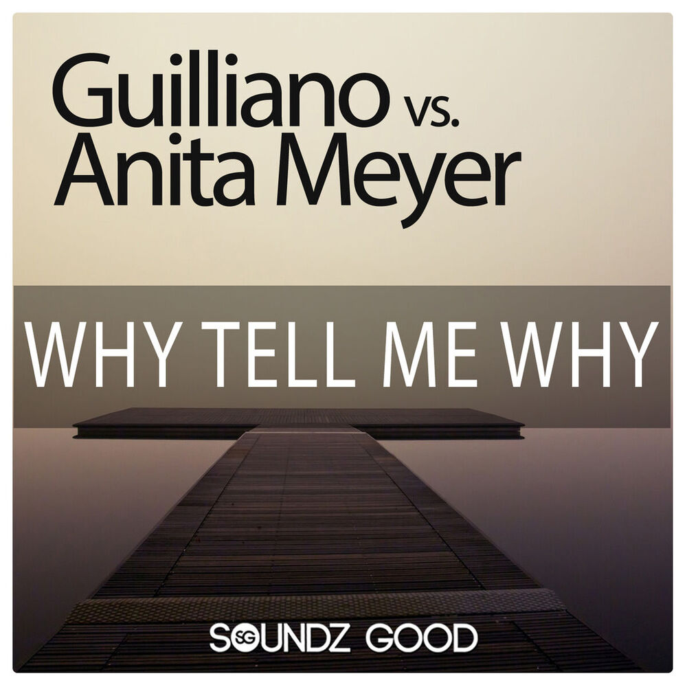 Picture of Why Tell Me Why (Guilliano vs. Anita Meyer)