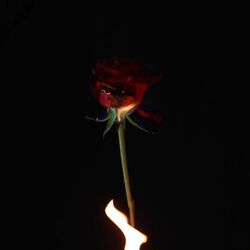 Cover of Romance De Fuego