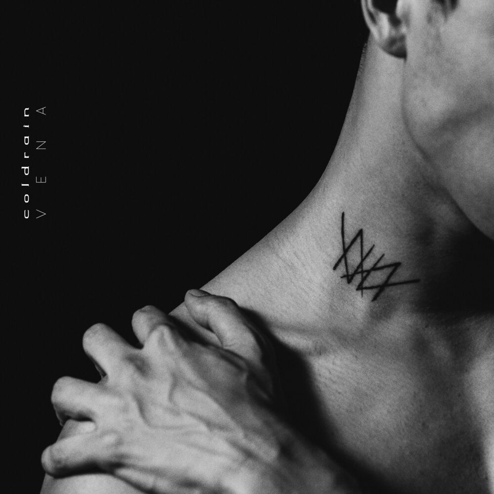 Picture of VENA