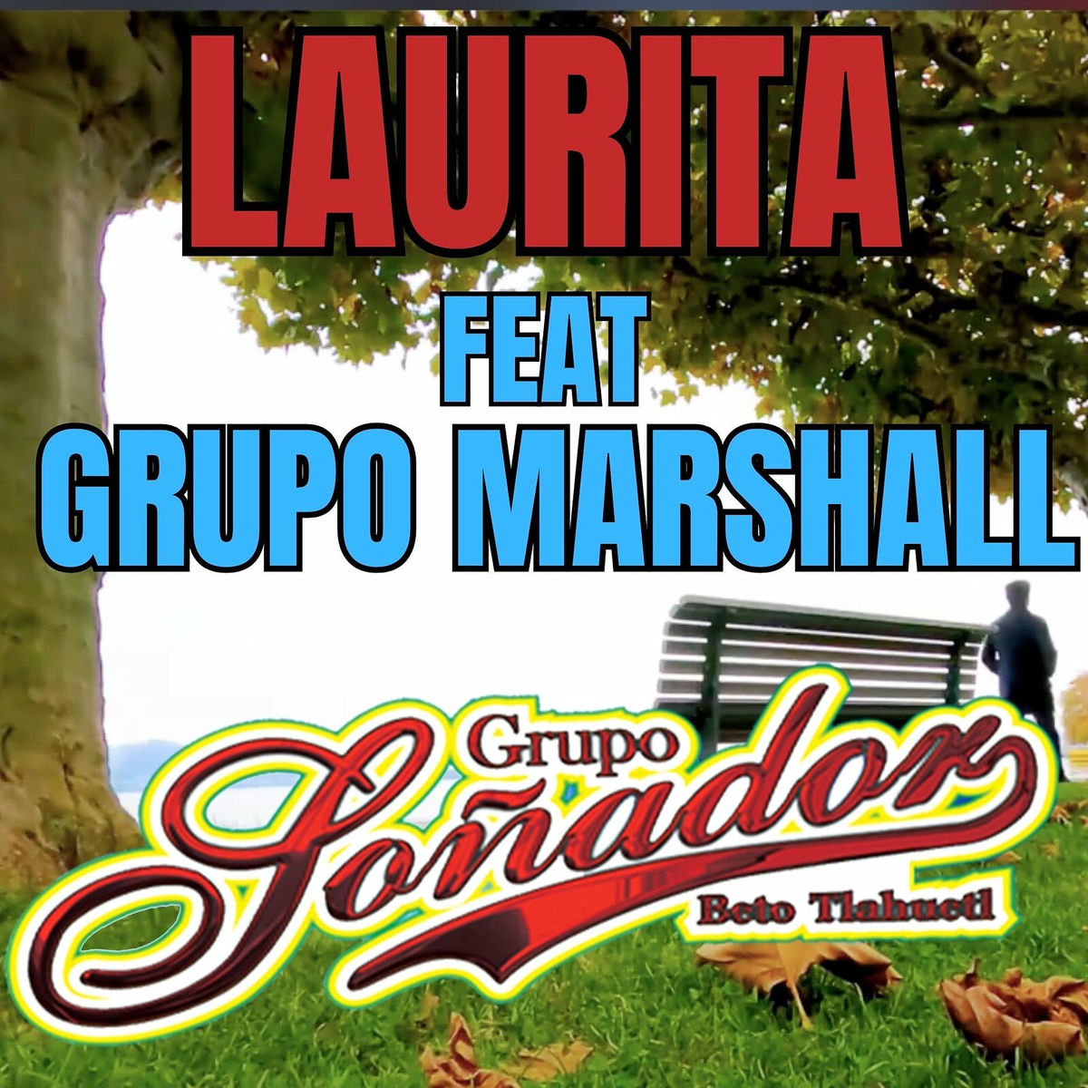 Album cover of Laurita