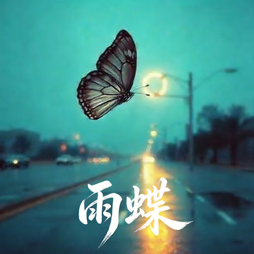 雨蝶 (R&B男版)