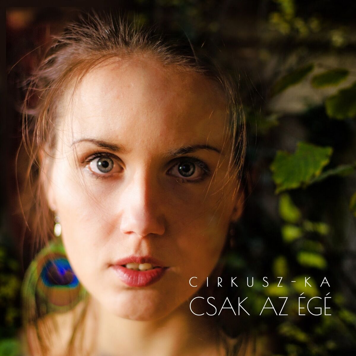 Album cover of Csak Az Égé