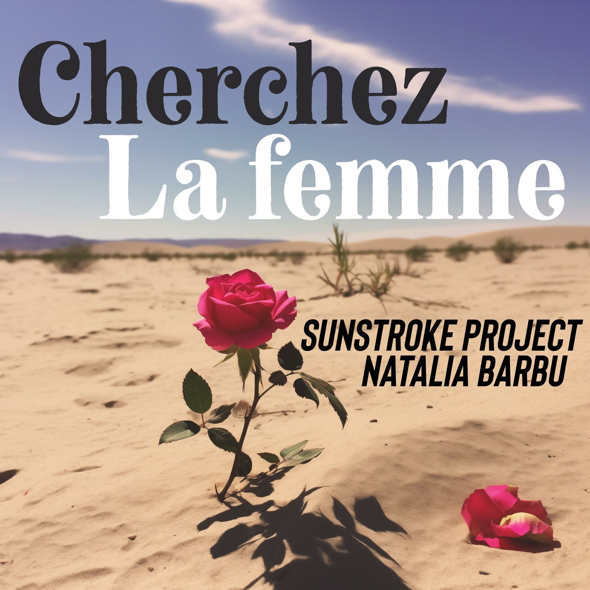 Album cover of Cherchez la femme