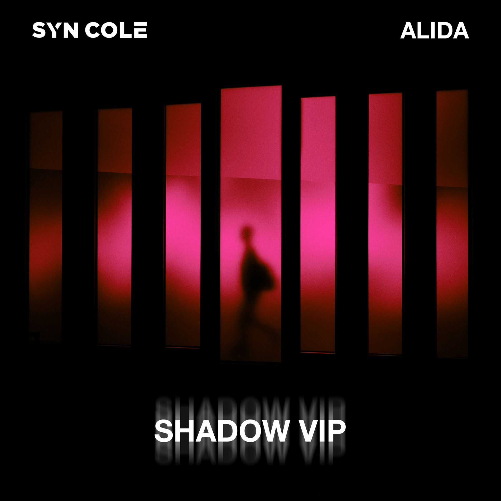 Album cover of Shadow (VIP Mix)