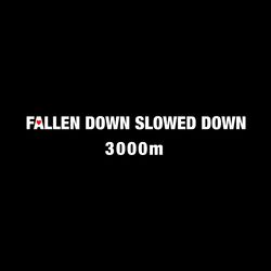 Cover of Fallen Down Slowed Down