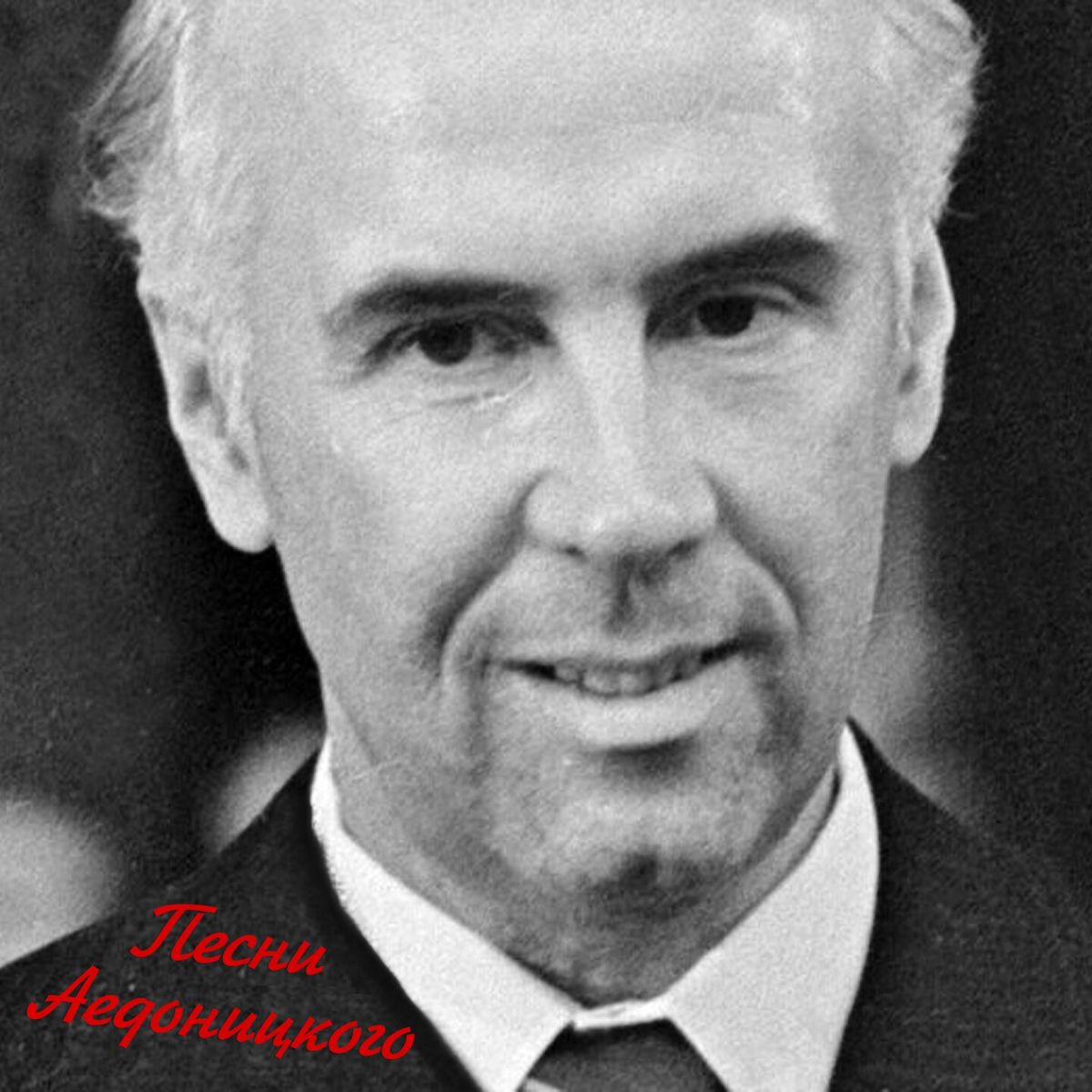 Album cover of Песни Аедоницкого