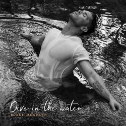 Cover of Dive in the Water