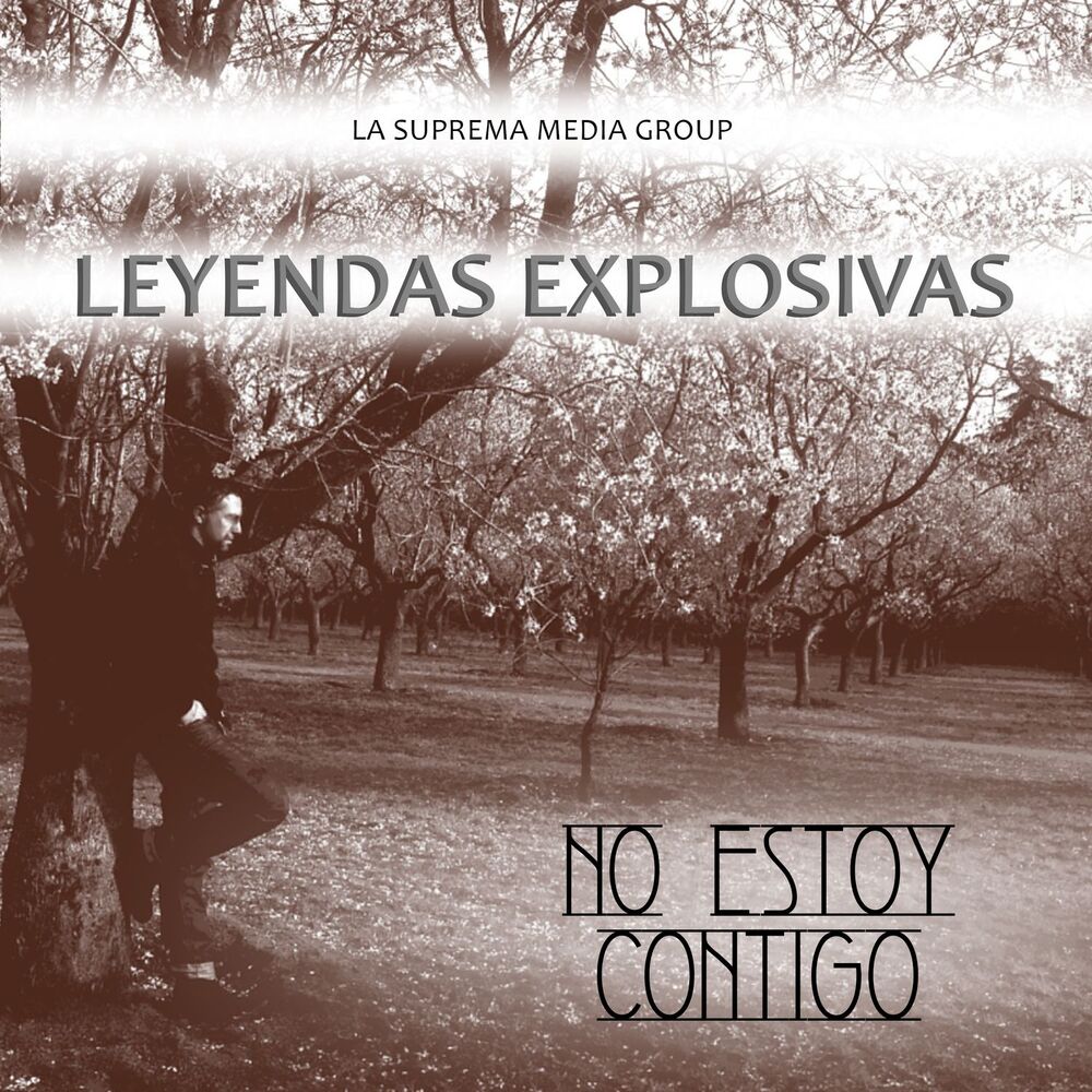 Picture of Estoy Contigo
