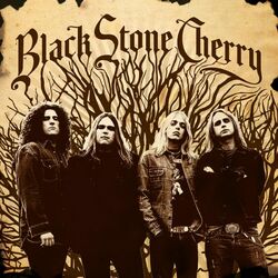 Cover of Black Stone Cherry