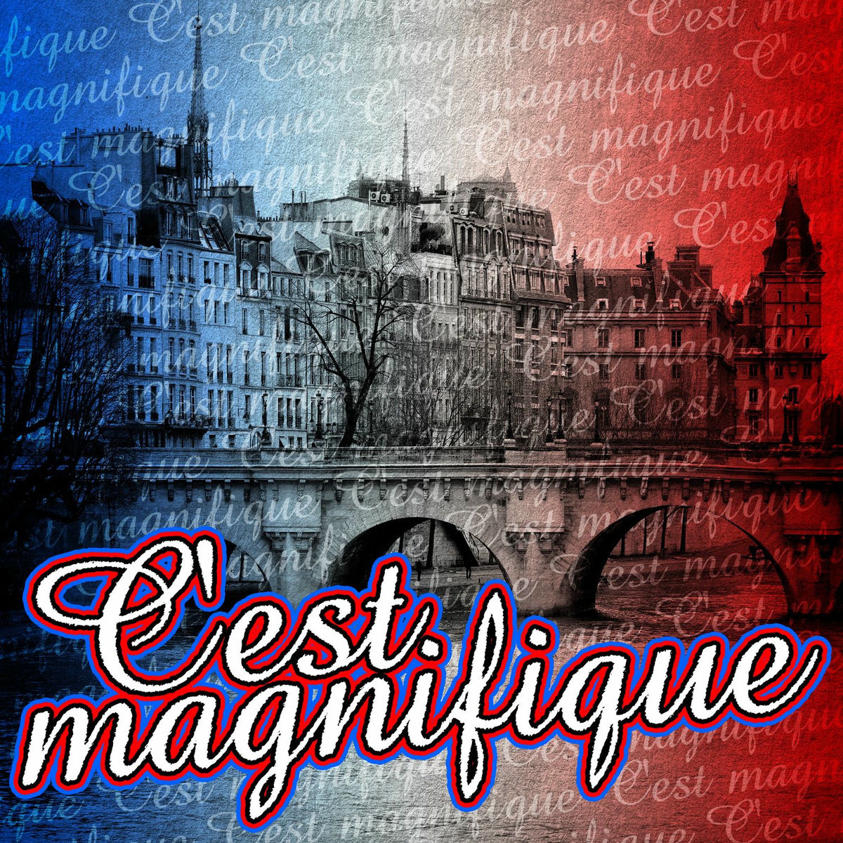 Album cover of C'est magnifique