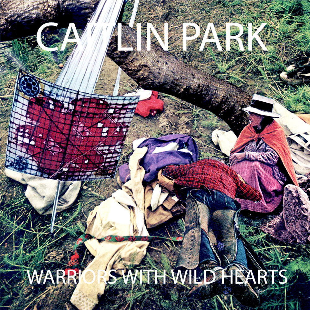 Album artwork for Cat On The Roof by Caitlin Park