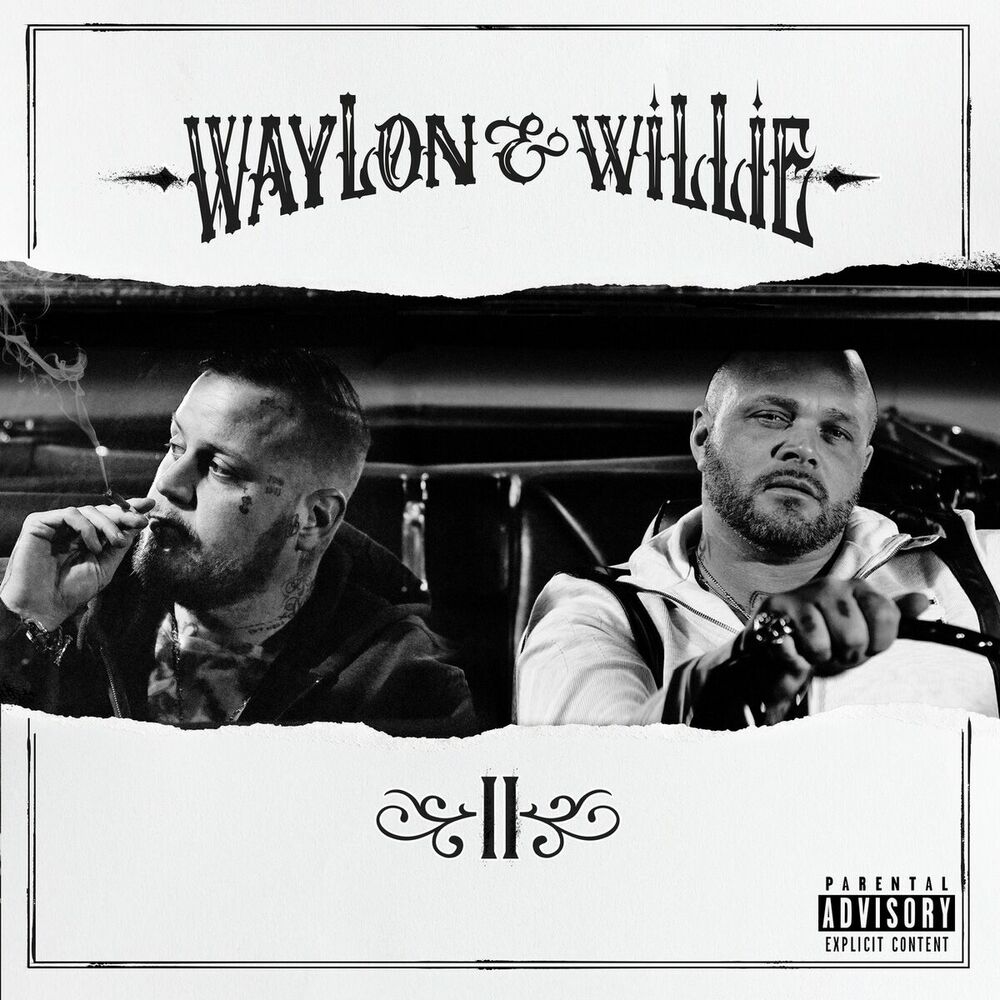 Picture of Waylon & Willie 2