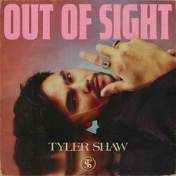 Cover of Out of Sight