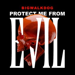 Cover of Protect Me From Evil